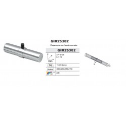 Insertie GIR25302